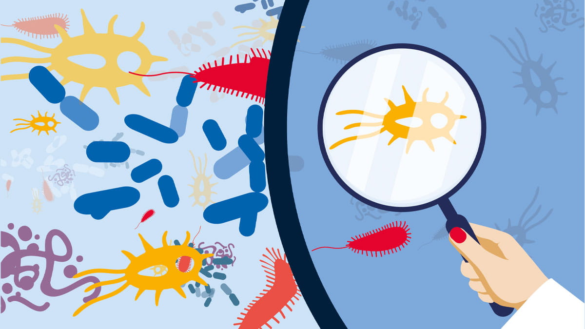 illustration for microbiome